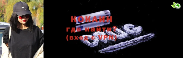 крисы Липки