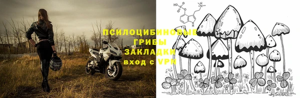 крисы Липки