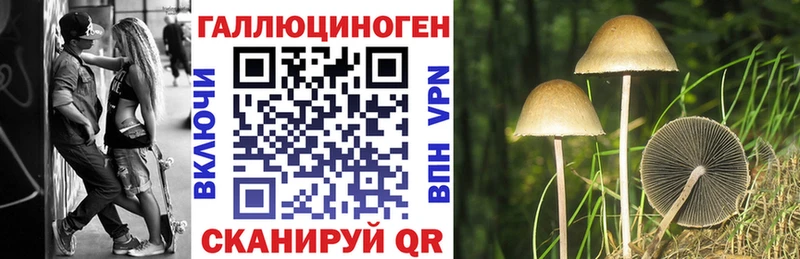 Псилоцибиновые грибы Psilocybine cubensis  Называевск 